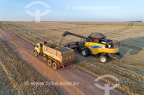  Foto aérea de colheita mecanizada de trigo  - Arapoti - Paraná (PR) - Brasil