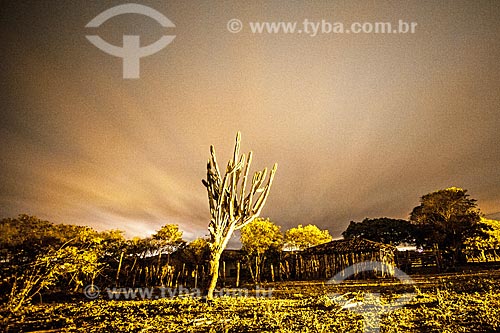  Light painting em vegetação típica do cerrado  - Jacobina - Bahia (BA) - Brasil