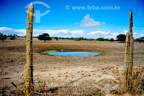  Seca na zona rural da cidade de Jacobina  - Jacobina - Bahia (BA) - Brasil