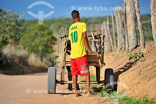  Jovem com carroça em estrada de terra  - Jacobina - Bahia (BA) - Brasil