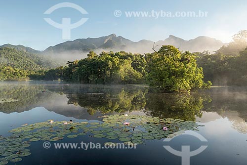  Vista geral de lago com vitória-régia (Victoria amazonica) na Reserva Ecológica de Guapiaçu  - Cachoeiras de Macacu - Rio de Janeiro (RJ) - Brasil