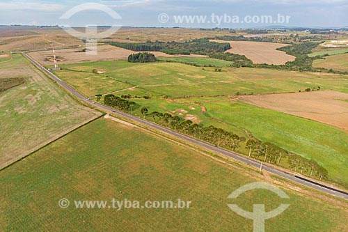  Foto aérea de plantação na Colônia Witmarsum  - Palmeira - Paraná (PR) - Brasil