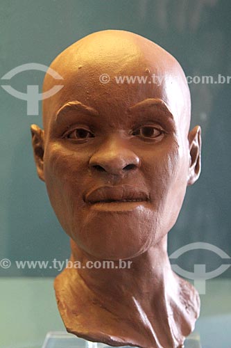  Reconstrução do fóssil mais antigo achado no Brasil de um Homo sapiens fêmea adulta que foi denominada Luzia em exibição no Museu Nacional - antigo Paço de São Cristóvão  - Rio de Janeiro - Rio de Janeiro (RJ) - Brasil