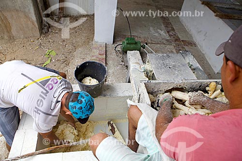  Trituração da mandioca na Farinhada - processo artesanal para a produção da farinha de mandioca  - Cajueiro da Praia - Piauí (PI) - Brasil