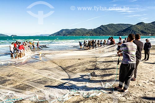  Pesca da tainha na Praia do Pântano do Sul  - Florianópolis - Santa Catarina (SC) - Brasil