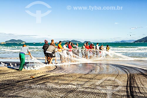  Pesca da tainha na Praia do Pântano do Sul  - Florianópolis - Santa Catarina (SC) - Brasil