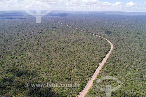  Foto feita com drone de trecho da Rodovia CE-060 na Floresta Nacional do Araripe-Apodi  - Barbalha - Ceará (CE) - Brasil
