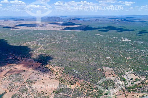  Foto feita com drone de vegetação típica da caatinga  - Cabrobó - Pernambuco (PE) - Brasil