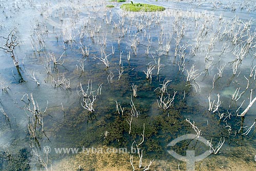  Foto feita com drone da Lagoa de Itaparica  - Floresta - Pernambuco (PE) - Brasil
