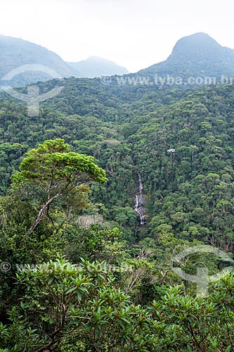  Vista da Cascatinha Taunay a partir do Mirante da Cascatinha no Parque Nacional da Tijuca  - Rio de Janeiro - Rio de Janeiro (RJ) - Brasil