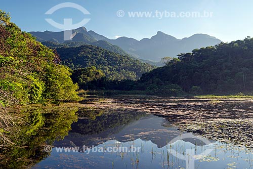  Vista geral de lago com vitória-régia (Victoria amazonica) na Reserva Ecológica de Guapiaçu  - Cachoeiras de Macacu - Rio de Janeiro (RJ) - Brasil