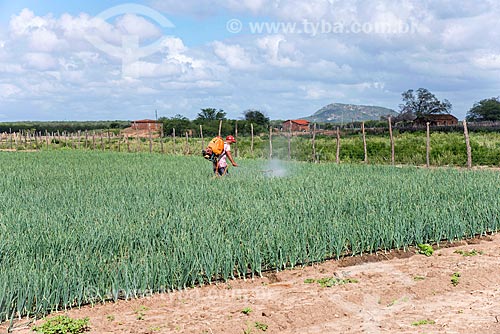  Trabalhador rural sem equipamento de proteção individual aplicando defensivos em plantação de cebola irrigada com água captada do Rio São Francisco  - Cabrobó - Pernambuco (PE) - Brasil
