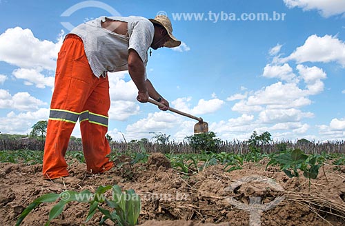  Trabalhador rural em plantação de milho irrigada com água captada do Rio São Francisco  - Custódia - Pernambuco (PE) - Brasil