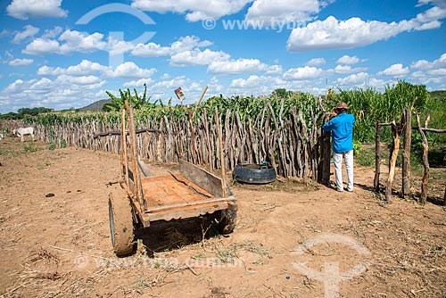  Trabalhador rural chegando em plantação de milho irrigada com água captada do Rio São Francisco  - Custódia - Pernambuco (PE) - Brasil