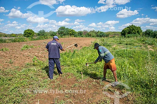  Trabalhadores rurais capinando área para fazer roça irrigada com água captada do Rio São Francisco  - Custódia - Pernambuco (PE) - Brasil