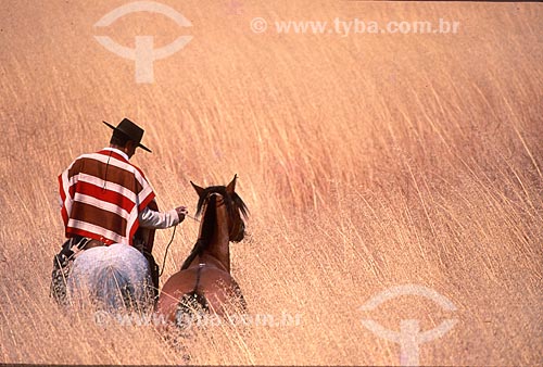  Cavaleiro gaúcho com traje típicos em coxilhas dos campos sulinos  - Rio Grande do Sul (RS) - Brasil