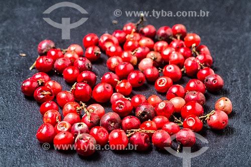  Detalhe de sementes de aroeiras-vermelha (Schinus terebinthifolius)  - Florianópolis - Santa Catarina (SC) - Brasil