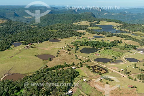 Vista aérea de área rural de Canela  - Canela - Rio Grande do Sul (RS) - Brasil