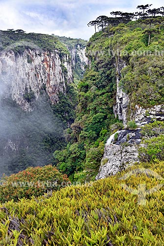 Vista do Cânion do Itaimbezinho no Parque Nacional dos Aparados da Serra durante a trilha do vértice  - Cambará do Sul - Rio Grande do Sul (RS) - Brasil