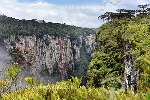  Vista do Cânion do Itaimbezinho no Parque Nacional dos Aparados da Serra durante a trilha do vértice  - Cambará do Sul - Rio Grande do Sul (RS) - Brasil