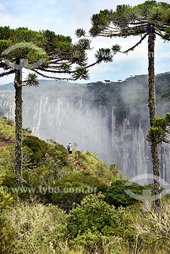  Turista fotografando com celular a paisagem do Cânion do Itaimbezinho durante a trilha do vértice  - Cambará do Sul - Rio Grande do Sul (RS) - Brasil