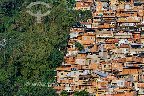  Detalhe da divisa entre a Favela do Cerro Corá e a vegetação  - Rio de Janeiro - Rio de Janeiro (RJ) - Brasil