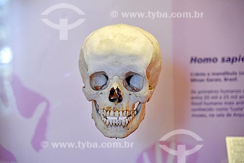  Crânio de Homo sapiens em exibição no Museu Nacional - antigo Paço de São Cristóvão  - Rio de Janeiro - Rio de Janeiro (RJ) - Brasil