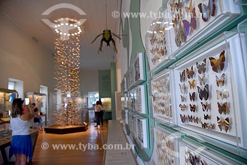  Insetos do Departamento de Entomologia em exibição no Museu Nacional - antigo Paço de São Cristóvão  - Rio de Janeiro - Rio de Janeiro (RJ) - Brasil