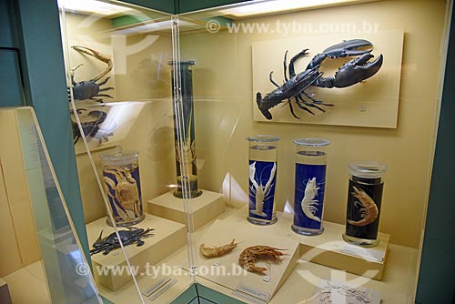  Crustáceos em exibição no Museu Nacional - antigo Paço de São Cristóvão  - Rio de Janeiro - Rio de Janeiro (RJ) - Brasil