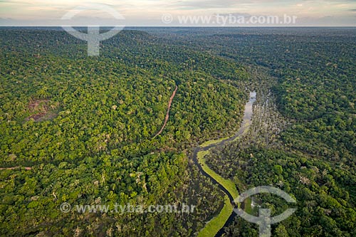 Foto aérea do Igarapé de Jamaraquá na Floresta Nacional do Tapajós  - Belterra - Pará (PA) - Brasil