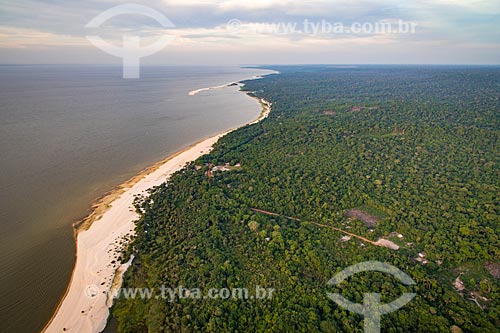  Foto aérea da orla do Rio Tapajós na Floresta Nacional do Tapajós  - Santarém - Pará (PA) - Brasil