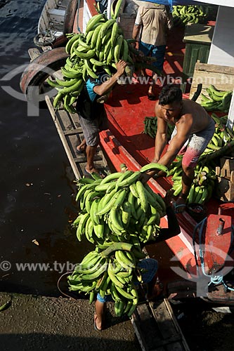  Homem carregando cachos de banana na cabeça no Porto de Manaus Moderna  - Manaus - Amazonas (AM) - Brasil