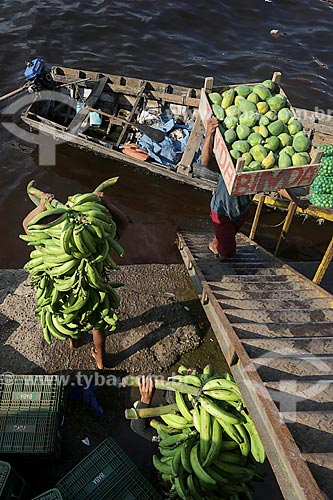  Homem carregando cachos de banana e mamão na cabeça no Porto de Manaus Moderna  - Manaus - Amazonas (AM) - Brasil