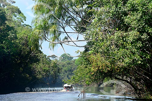  Voadeira - embarcação regional - no Igarapé Abuará  - Santa Isabel do Rio Negro - Amazonas (AM) - Brasil
