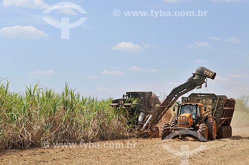 Colheita mecanizada de cana-de-açúcar  - Frutal - Minas Gerais (MG) - Brasil