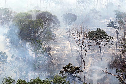  Foto aérea de queimada na Floresta Amazônica  - Manaus - Amazonas (AM) - Brasil