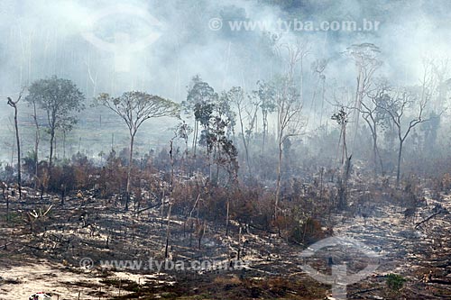  Foto aérea de queimada na Floresta Amazônica  - Manaus - Amazonas (AM) - Brasil