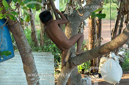  Menino indígena em cima de árvore na aldeia Aiha da tribo Kalapalo - ACRÉSCIMO DE 100% SOBRE O VALOR DE TABELA  - Querência - Mato Grosso (MT) - Brasil