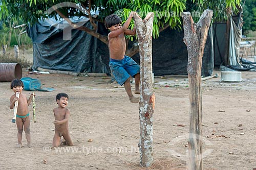  Menino indígena em cima de árvore na aldeia Aiha da tribo Kalapalo - ACRÉSCIMO DE 100% SOBRE O VALOR DE TABELA  - Querência - Mato Grosso (MT) - Brasil