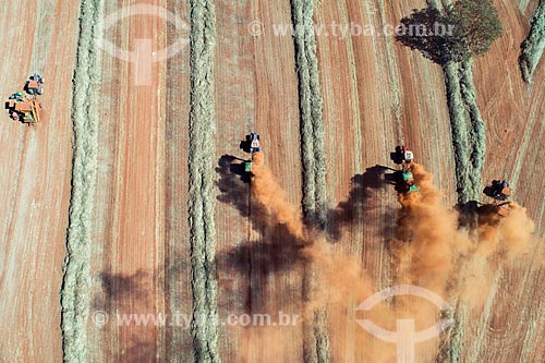  Foto feita com drone da colheita mecanizada de semente de capim  - Uberlândia - Minas Gerais (MG) - Brasil