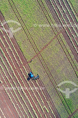  Foto feita com drone de colheita mecanizada de feijão  - Guaíra - São Paulo (SP) - Brasil