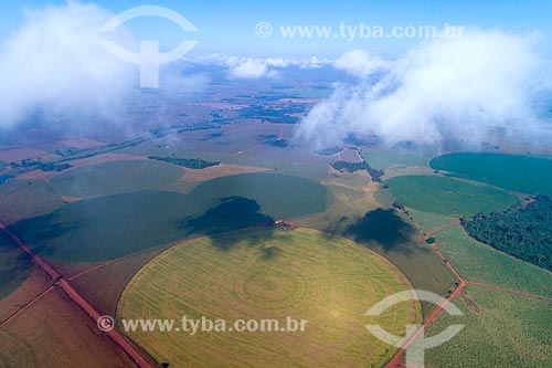  Foto feita com drone de plantações irrigadas com pivô central  - Guaíra - São Paulo (SP) - Brasil
