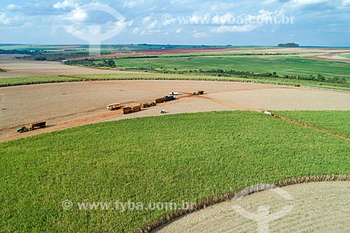  Foto feita com drone de colheita mecanizada de cana-de-açúcar  - Jaboticabal - São Paulo (SP) - Brasil