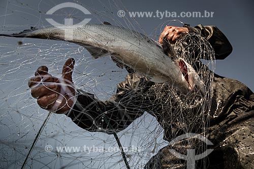  Detalhe de pescador retirando peixe da rede  - Rio de Janeiro - Rio de Janeiro (RJ) - Brasil