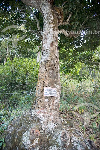  Placa em árvore com telefone de advogado para documentação para usucapião  - Guaramiranga - Ceará (CE) - Brasil