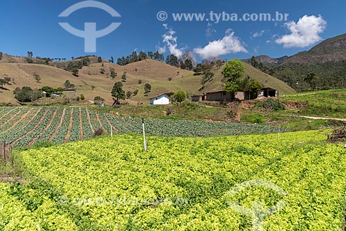  Plantação de vegetais próximo ao Parque Estadual dos Três Picos  - Teresópolis - Rio de Janeiro (RJ) - Brasil