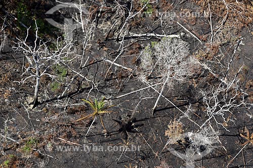  Foto aérea de queimada em vegetação típica da amazônia próximo à cidade de Manacapuru  - Manacapuru - Amazonas (AM) - Brasil