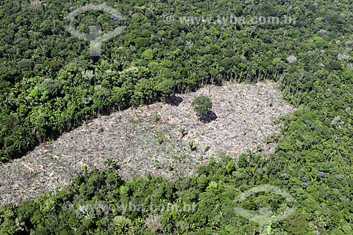  Foto aérea de área desmatada em vegetação típica da amazônia próximo à cidade de Manacapuru  - Manacapuru - Amazonas (AM) - Brasil