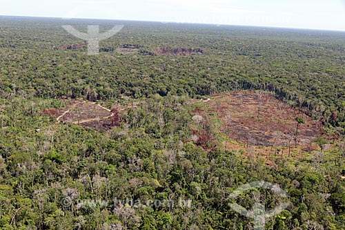  Foto aérea de área desmatada em vegetação típica da amazônia próximo à cidade de Manacapuru  - Manacapuru - Amazonas (AM) - Brasil