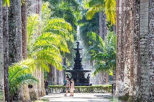  Vista da Alameda das Palmeiras no Jardim Botânico do Rio de Janeiro com o Chafariz das Musas ao fundo  - Rio de Janeiro - Rio de Janeiro (RJ) - Brasil
